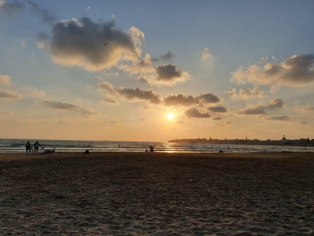 Beachfront Gallery Acre Bilik gambar